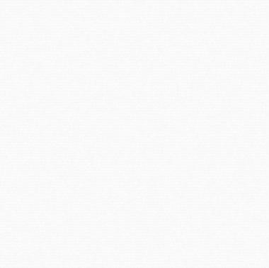 1521I-W010-0101