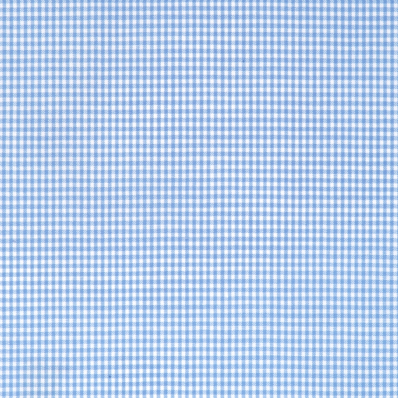 1162-W3951-0001