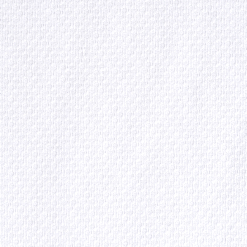 2452-W030-0101