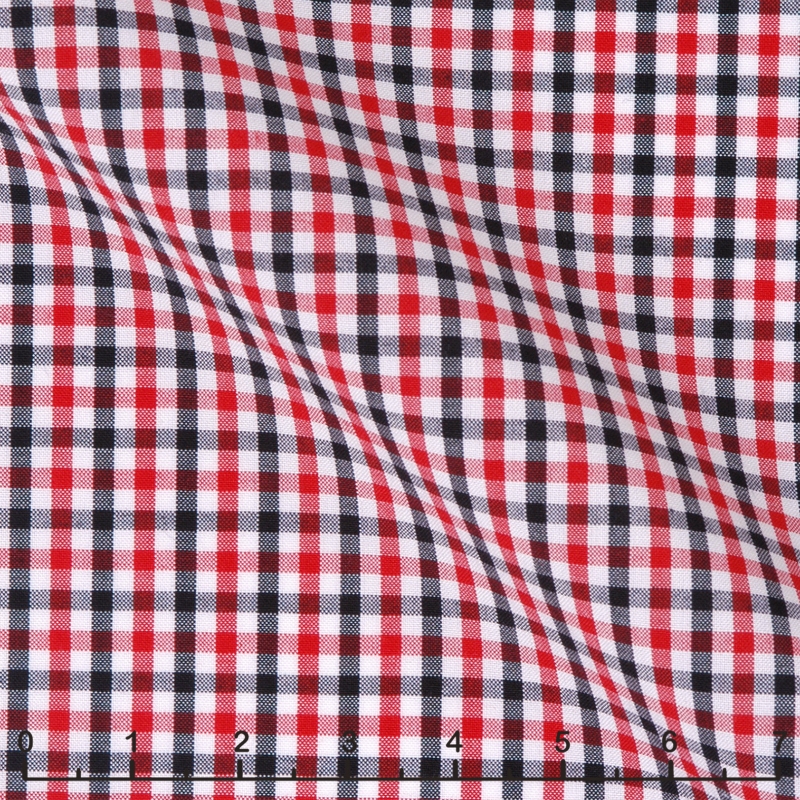 2420-W021-0081