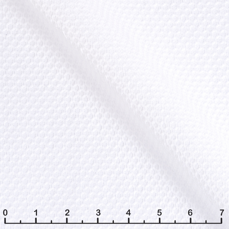 2452-W030-0101